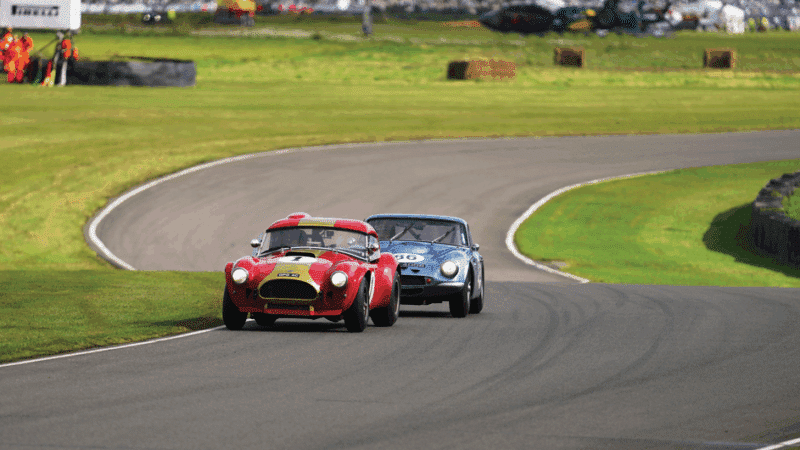 Ingram (TVR) vs Hill (Cobra), Goodwood Revival, 2024.